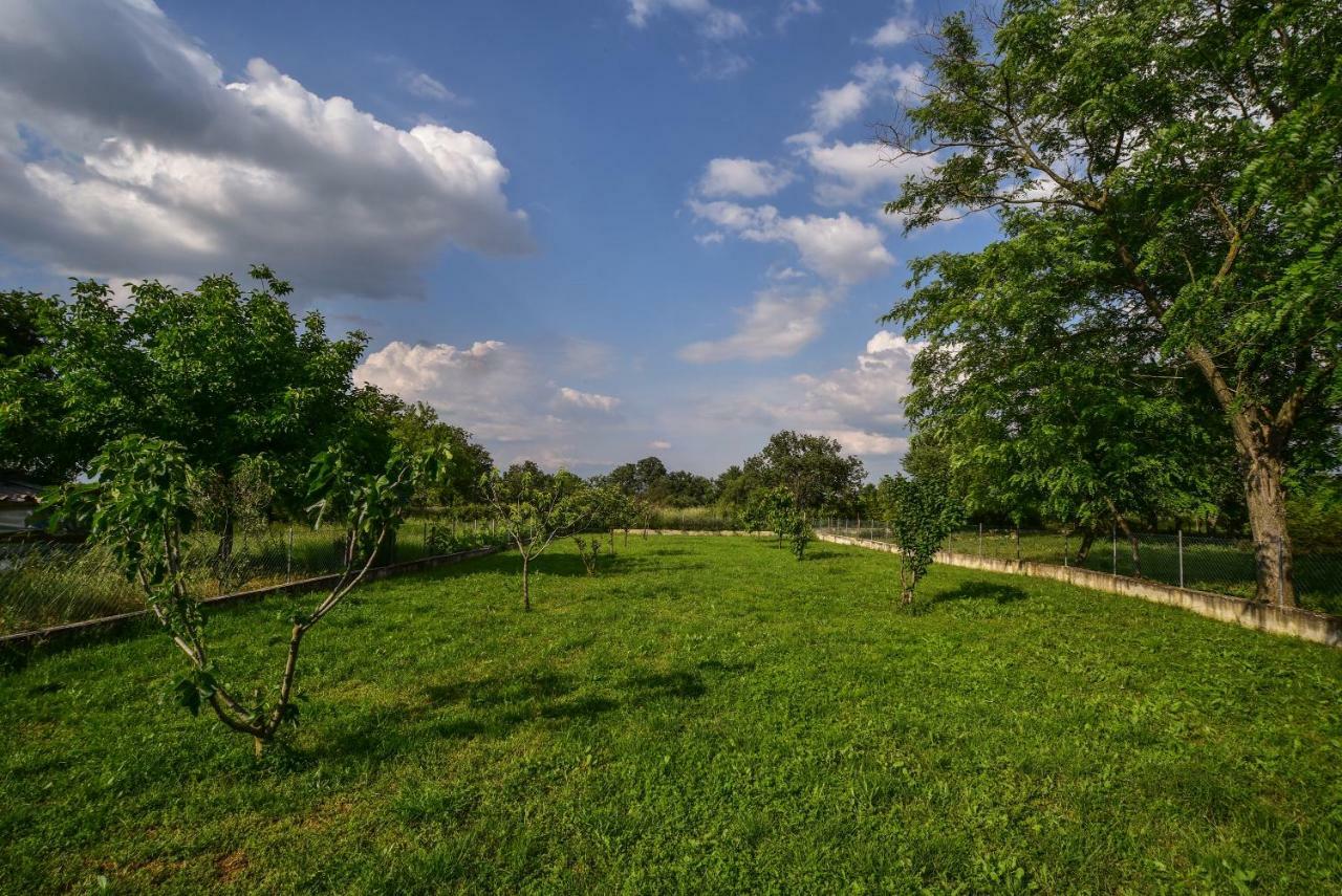 Ankin Dvor Villa Galovac  Bagian luar foto