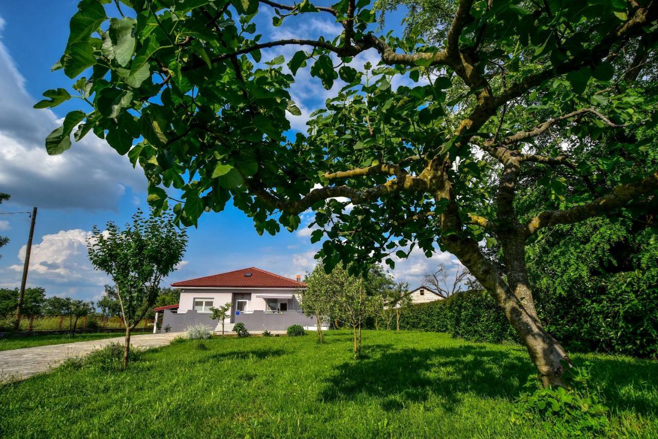 Ankin Dvor Villa Galovac  Bagian luar foto